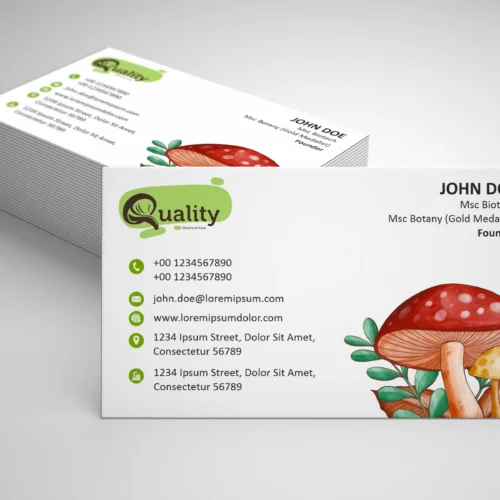 Standard Business Card